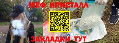 крисы Можга