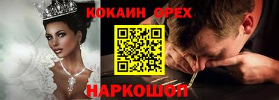крисы Можга