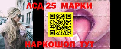 крисы Можга