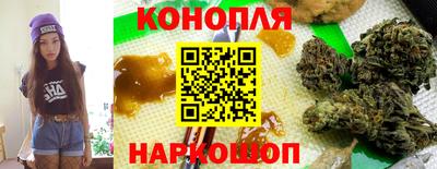крисы Можга