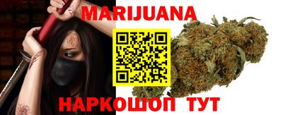 крисы Можга