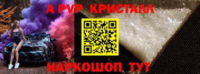 крисы Можга