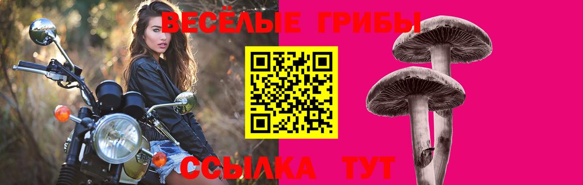Черкесск  Галлюциногенные грибы Cubensis  Вход с VPN  даркнет сайт  Псилоцибиновые грибы прущие грибы 